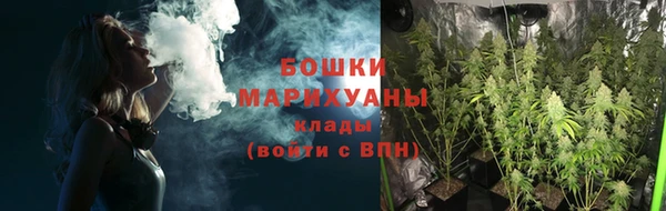 прущие грибы Аксай