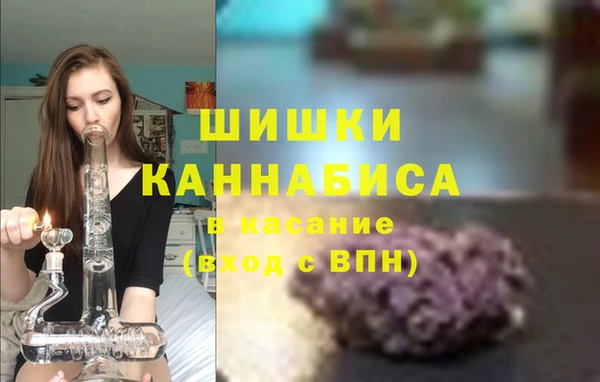 крисы Медвежьегорск