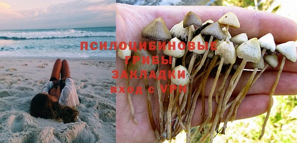 мескалин Мегион