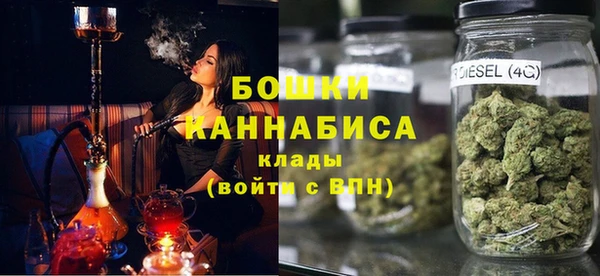 крисы Медвежьегорск