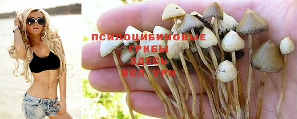 крисы Медвежьегорск